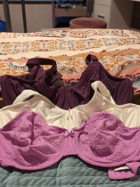 3 Wacoal Unlined Bras, 38DDD